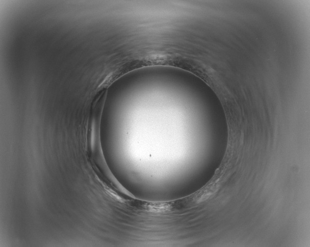 X0000057070576200509161521