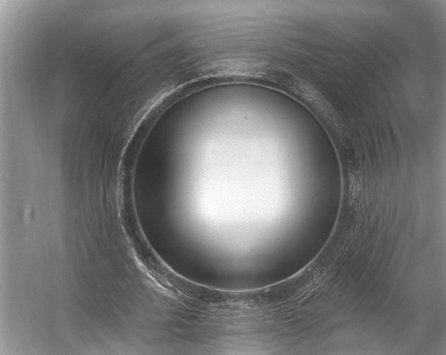 X0000057070580200509161520