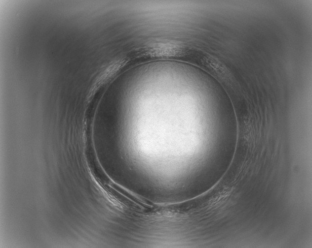 X0000057070586200509161520