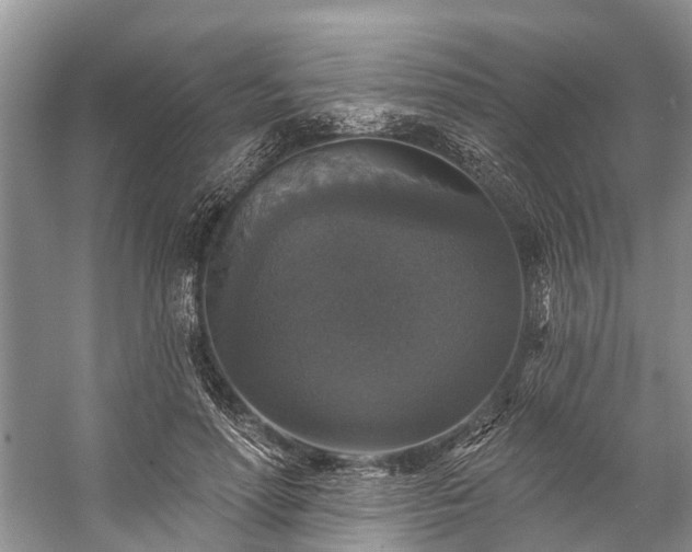 X0000057070598200509161520
