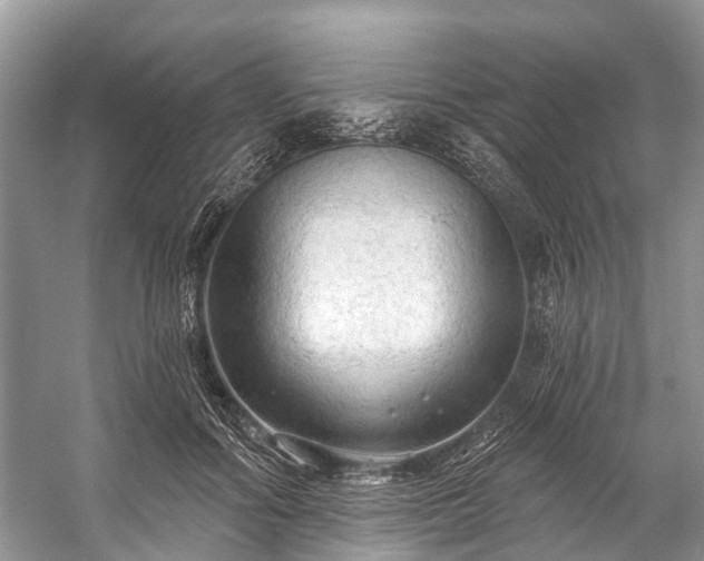 X0000057070602200509161520