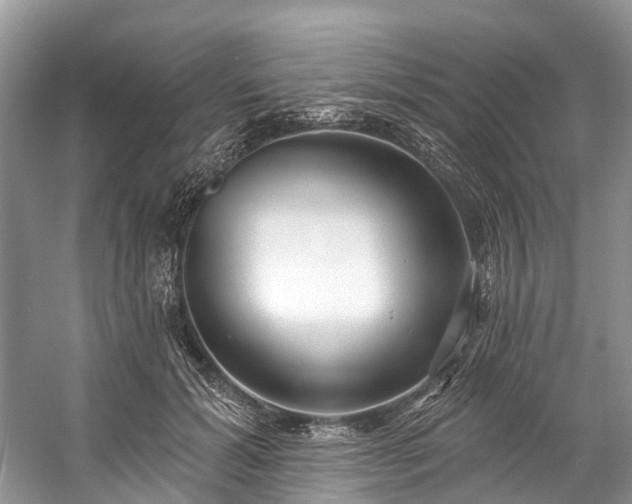 X0000057070605200509161520