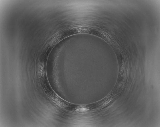 X0000057070610200509161520