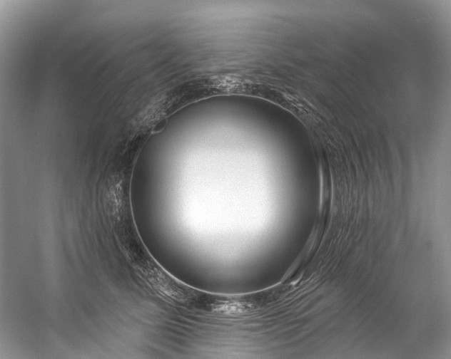 X0000057070611200509161520