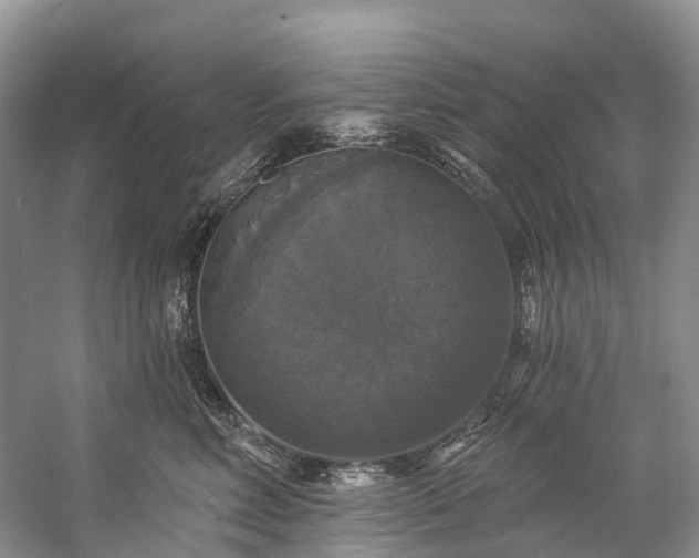X0000057070618200509161520