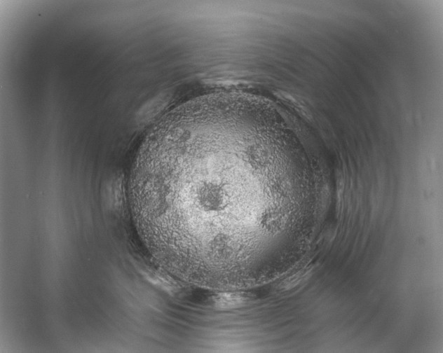 X0000057070623200509161519