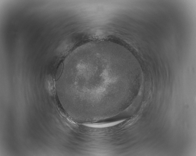 X0000057070624200509161519