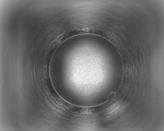 X0000057070656200509161519