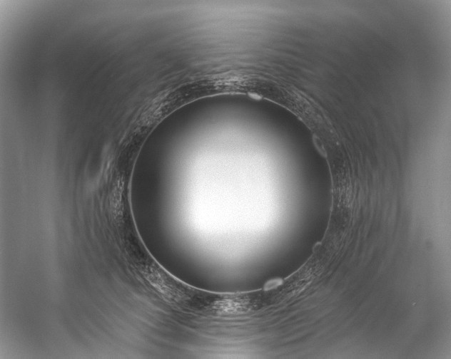 X0000057070660200509161519