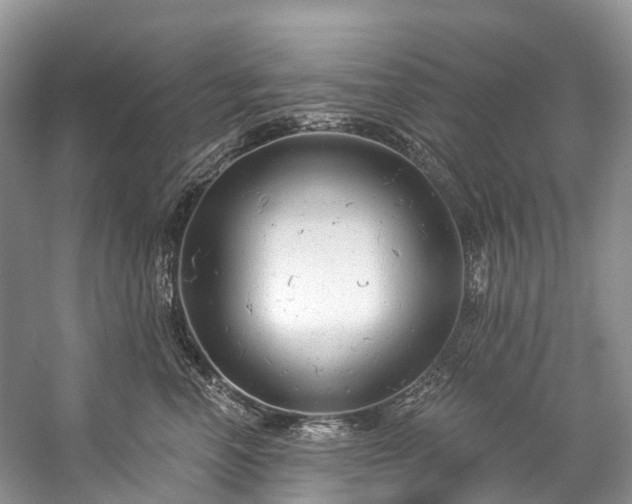 X0000057070666200509161519