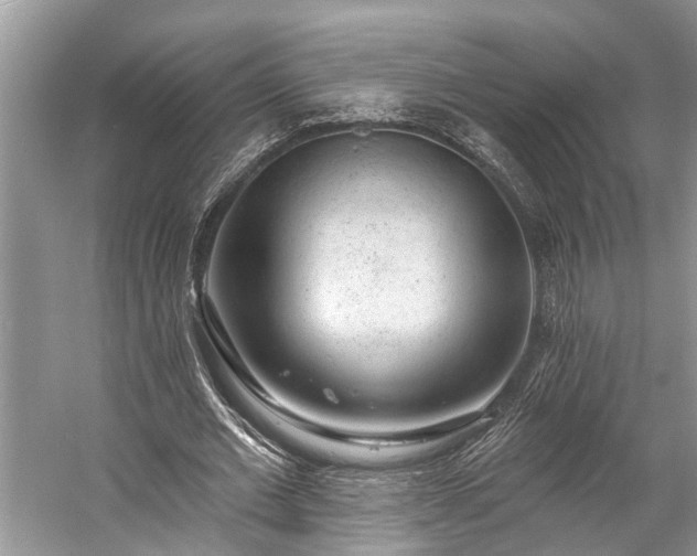 X0000057070677200509161519