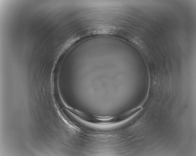 X0000057070678200509161519