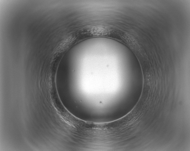 X0000057070690200509161518