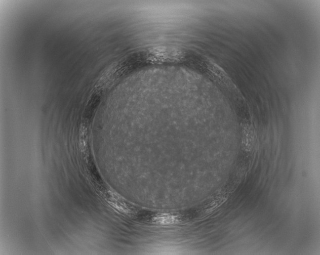 X0000057070701200509161518