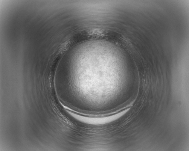 X0000057070708200509161518