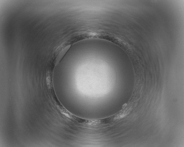 X0000057070720200509161518