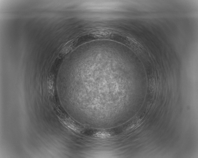 X0000057070749200509161517