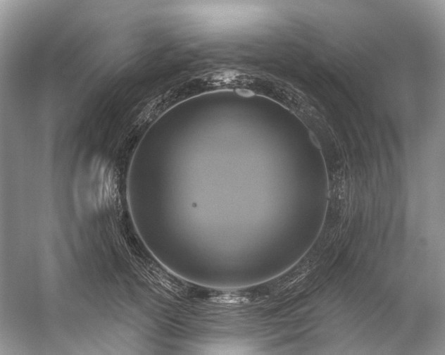 X0000057070754200509161518