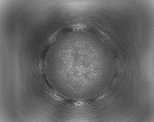 X0000057070761200509161518