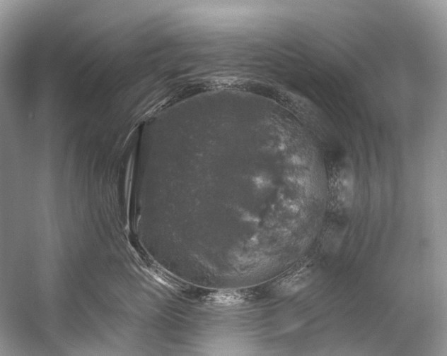 X0000057070765200509161518