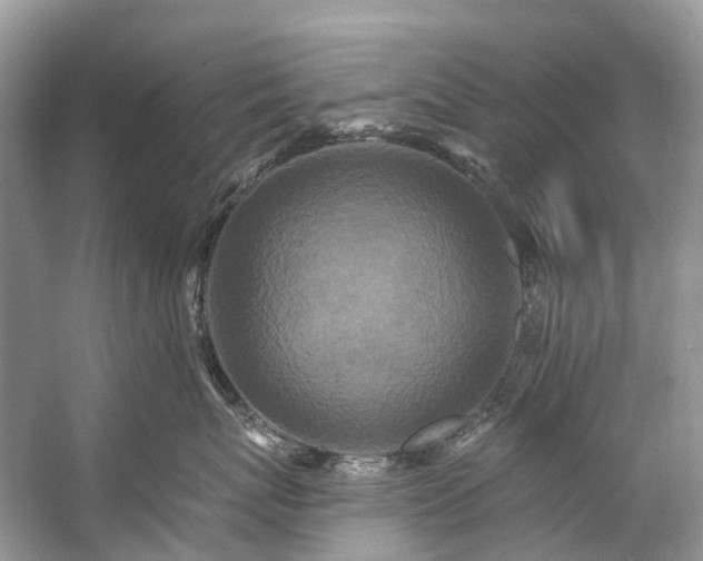 X0000057070767200509161518