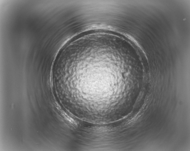 X0000057070791200509161517