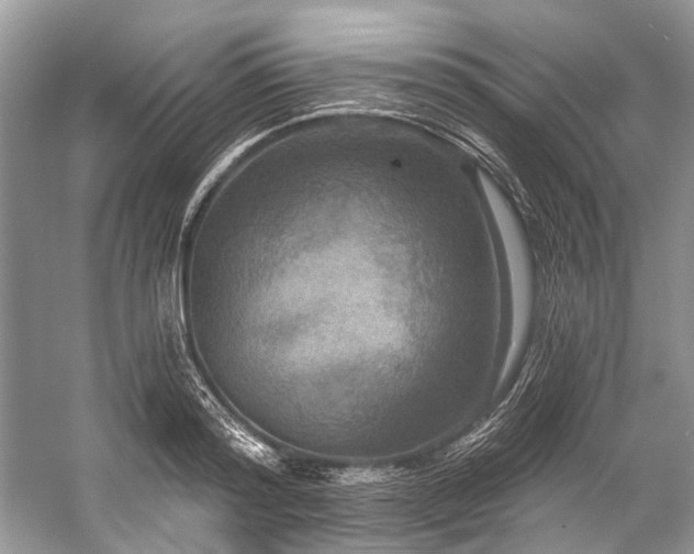 X0000057070796200509161517