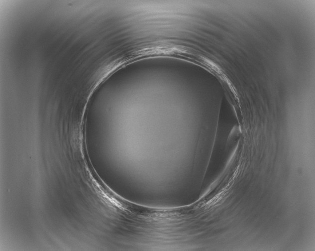 X0000057070802200509161516
