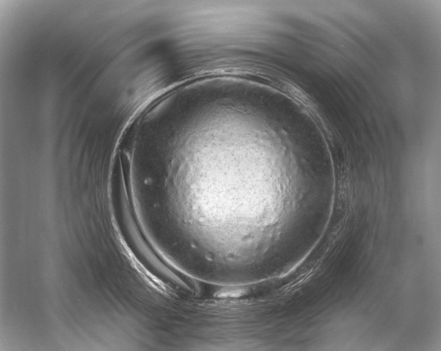 X0000057070803200509161516