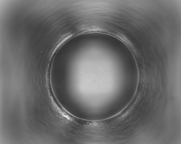 X0000057070806200509161516