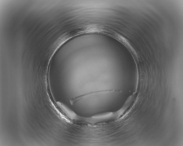 X0000057070810200509161516