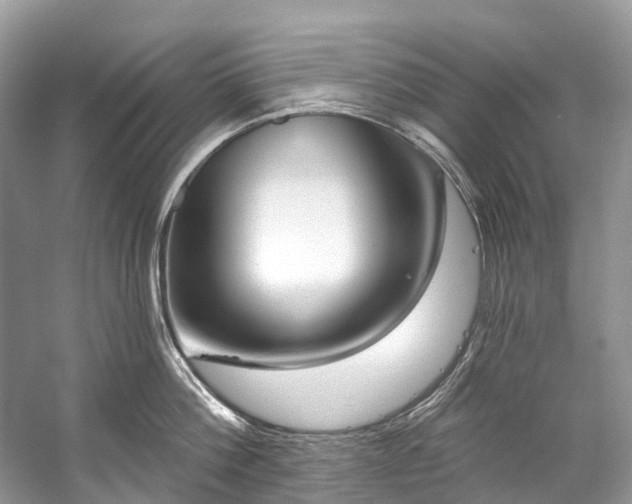 X0000057070812200509161516