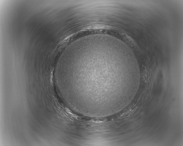 X0000057070821200509161515