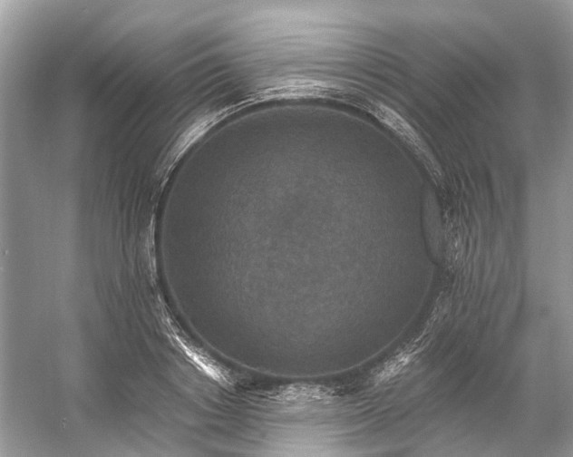 X0000057070842200509161516