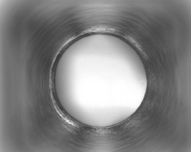 X0000057070848200509161516