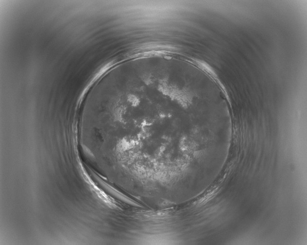 X0000057070859200509161516