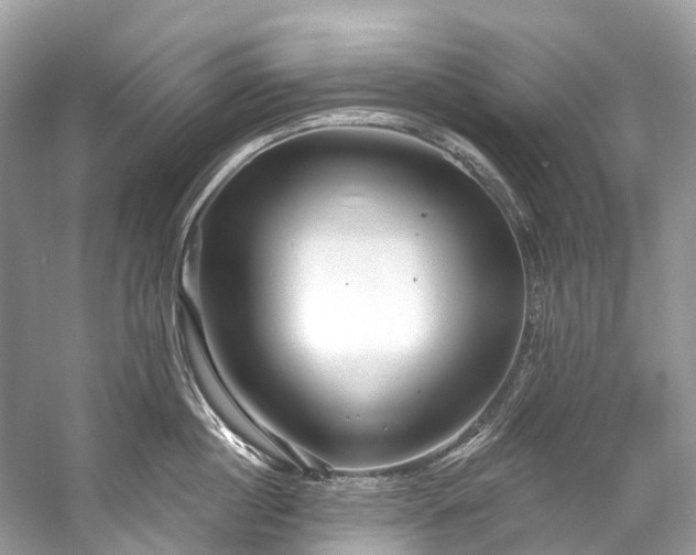 X0000057070860200509161516