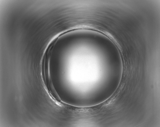 X0000057070862200509161516