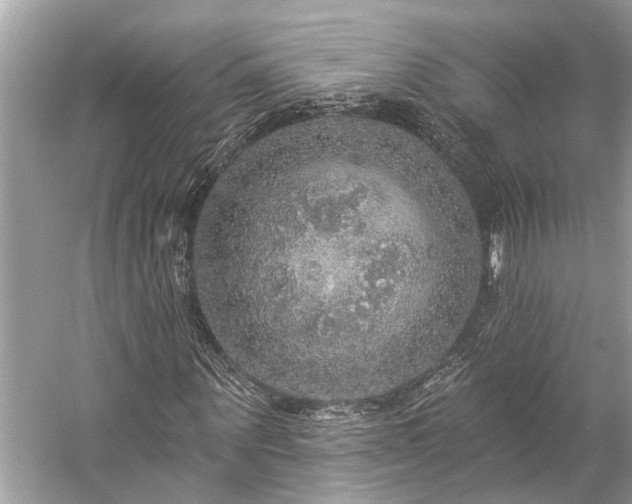 X0000057070867200509161515
