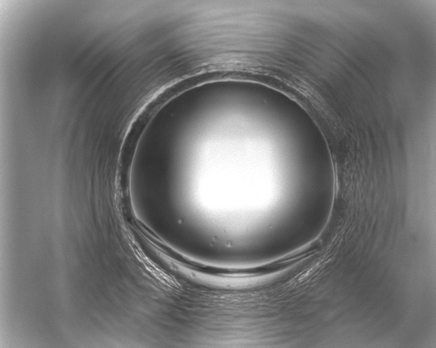 X0000057070880200509161515