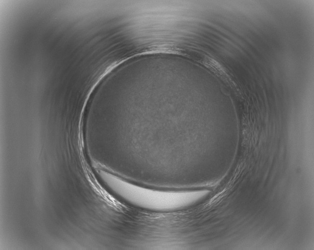 X0000057070892200509161515