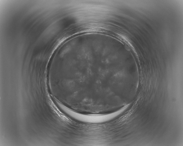 X0000057070899200509161515