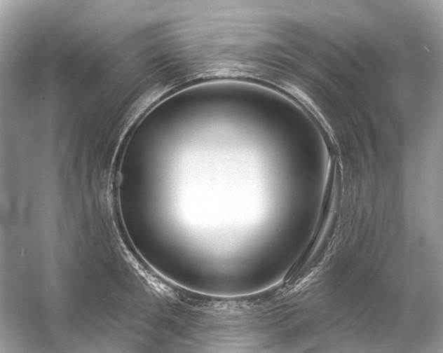 X0000057070901200509161515