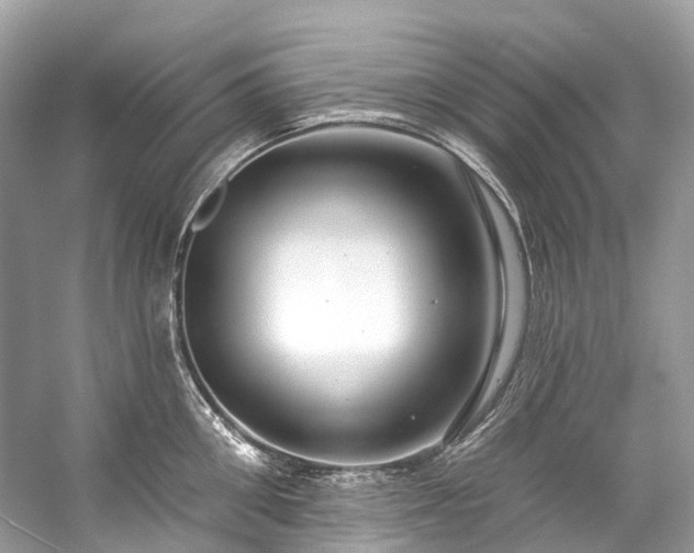 X0000057070906200509161515