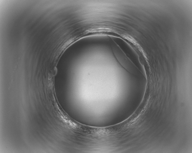 X0000057070945200509161514