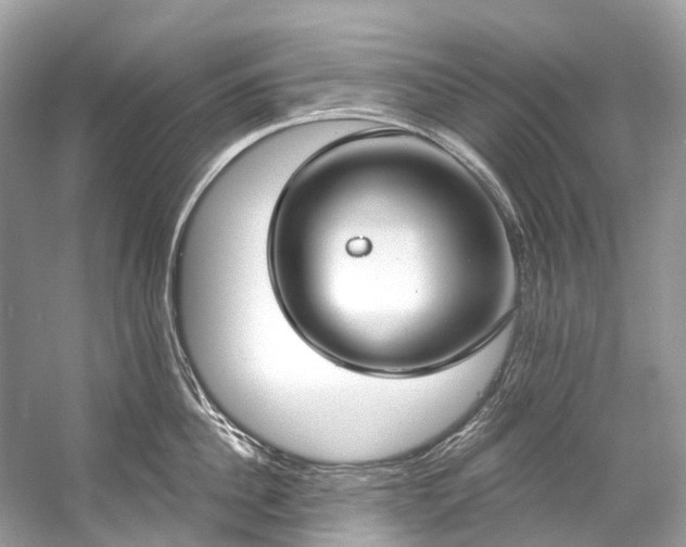 X0000057070956200509161514
