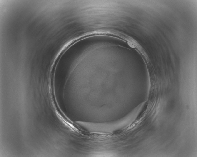 X0000057070958200509161514