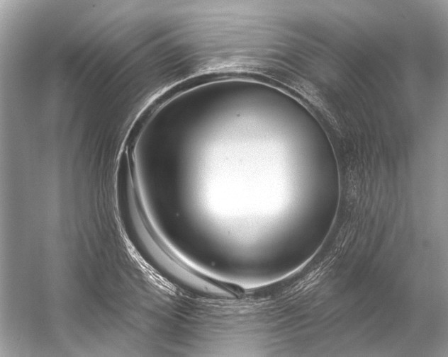 X0000057070980200509161513