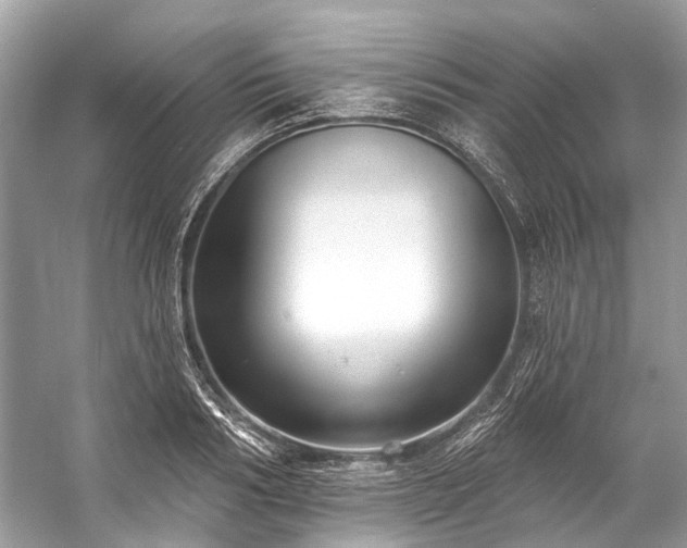 X0000057070986200509161513