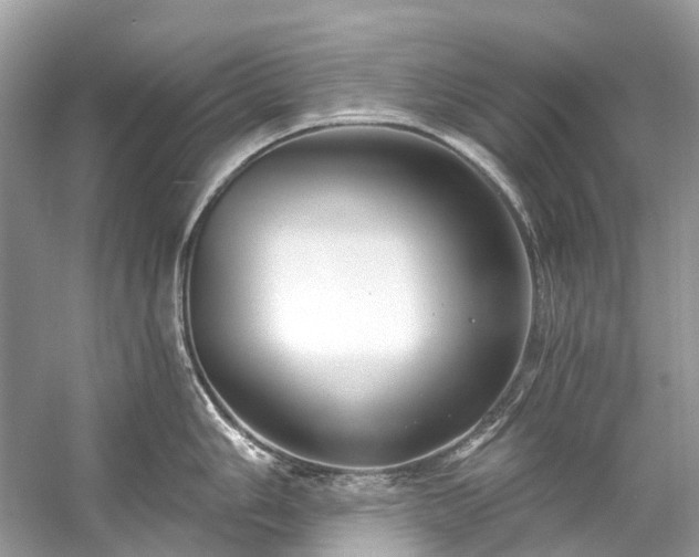 X0000057071006200509161513